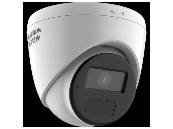 海康威視DS-IPC-T12HV3-IA200萬H.265海螺型網絡攝像機（拾音款）海康攝像頭 家用攝像頭