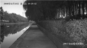 全彩智能警戒攝像機(jī)