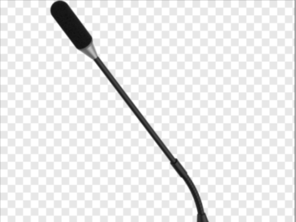 ?？低旵系列模擬鵝頸話筒（單只）