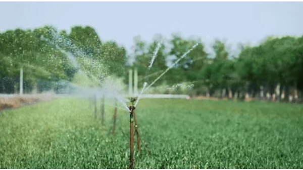 一鍵春灌！?？低曈肁I讓農(nóng)田“喝”得更聰明