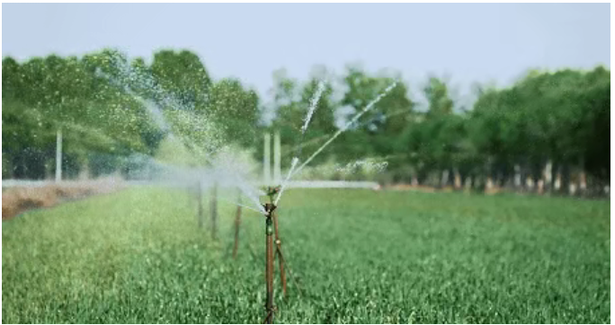 23f66ddfb550aec0d408f8718220ebe 23f66ddfb550aec0d408f8718220ebe